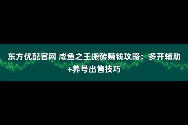 东方优配官网 咸鱼之王搬砖赚钱攻略：多开辅助+养号出售技巧