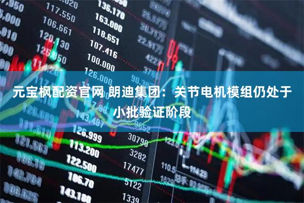 元宝枫配资官网 朗迪集团：关节电机模组仍处于小批验证阶段